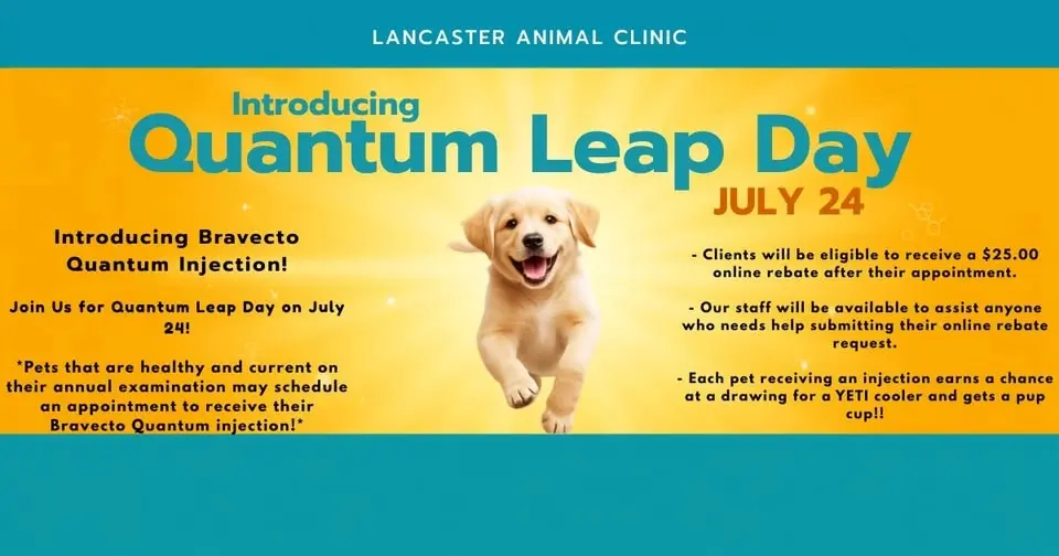 Quantum Leap Day