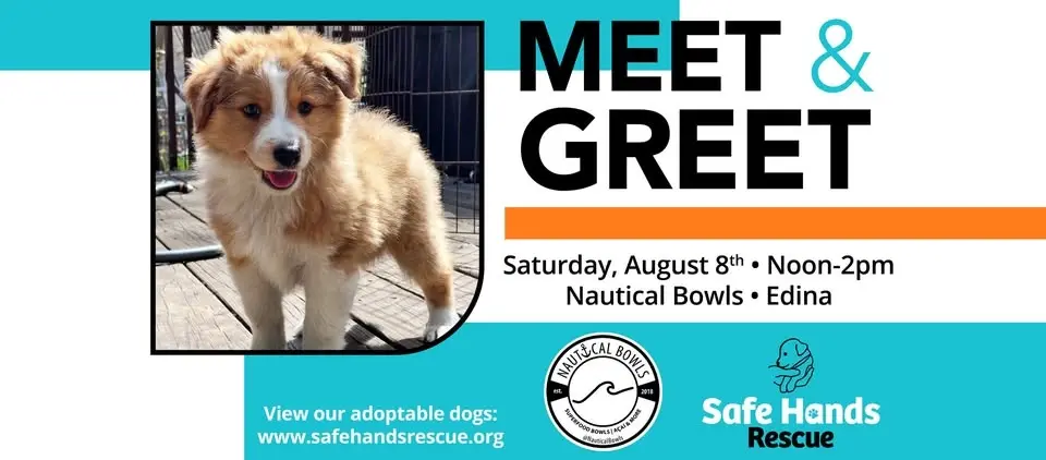 Safe Hands Rescue Meet & Greet at Nautical Bowls