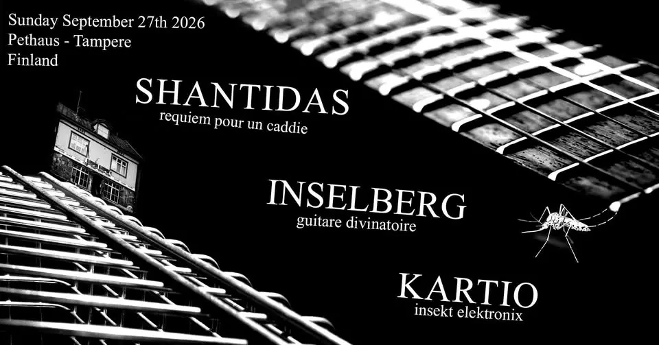 Sähköinen matinea 13: Inselberg (FR), Shantidas (FR), Kartio