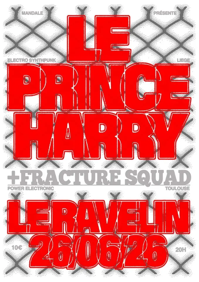 LE PRINCE HARRY (electro synthpunk, BE) ✦ FRACTURE SQUAD (power electronics, TLS)