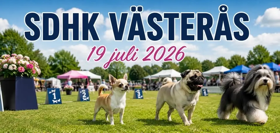 SDHK Nationell Utställning Västerås 2026