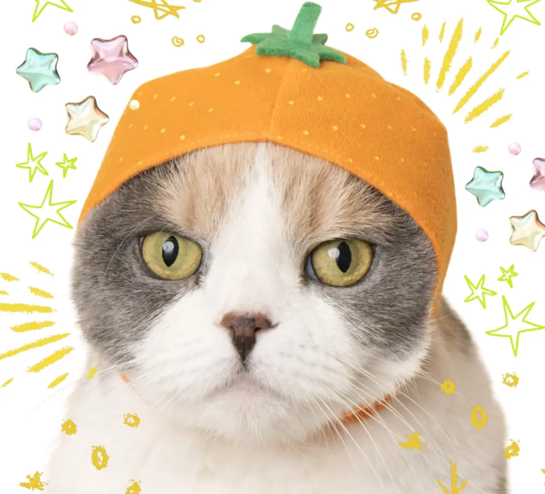 fundraiser for get a gato! <3