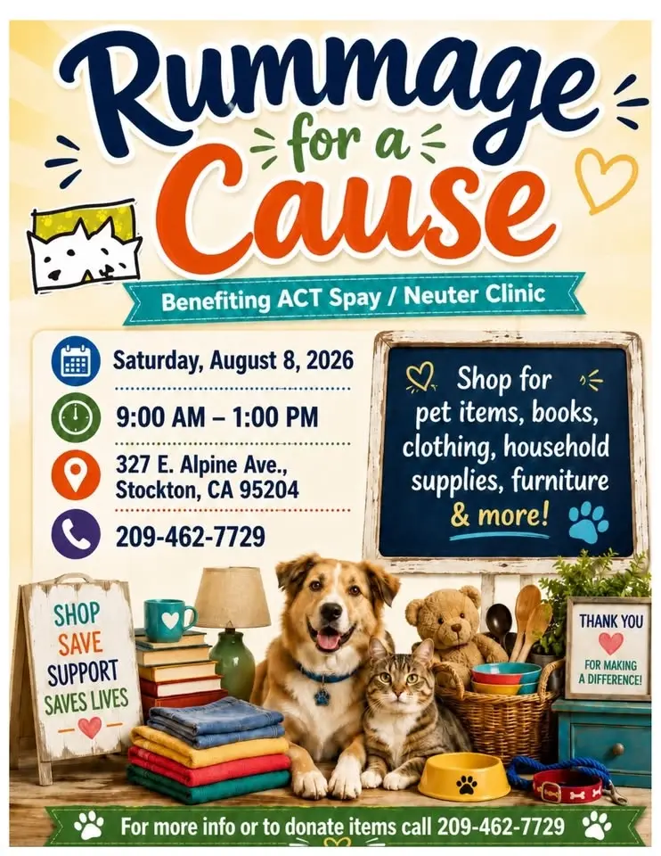 Summer Rummage Sale