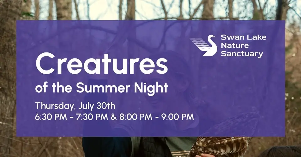 Creatures of the Summer Night with Kay