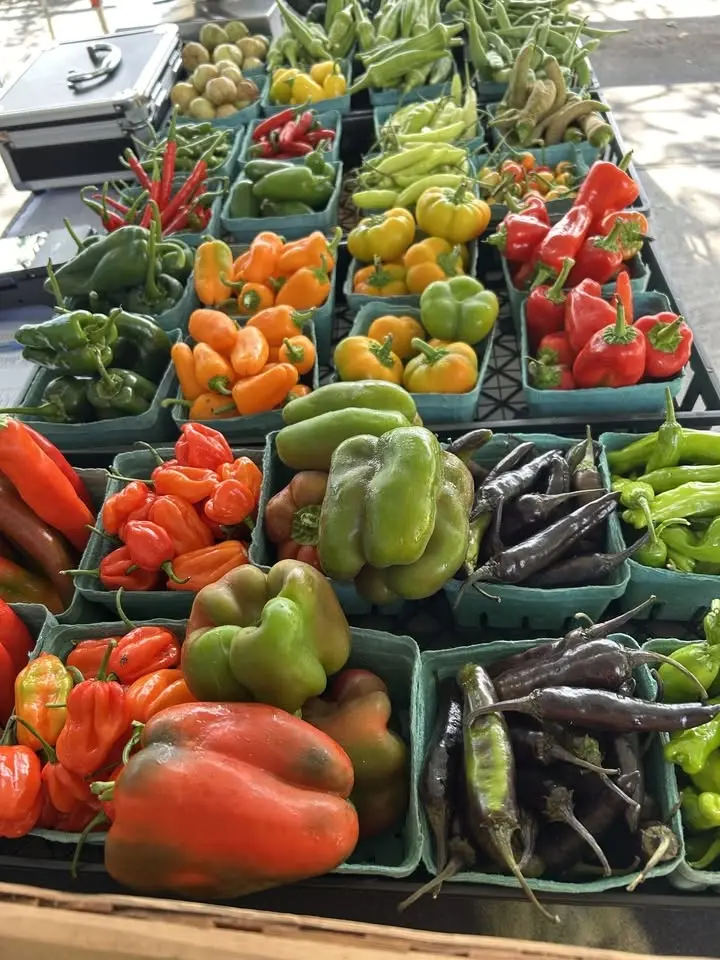 Farm Stand