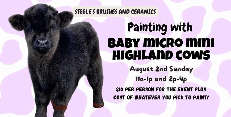 Painting with Baby Micro Mini Highland Cows