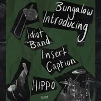 Introducing: Idiot Band, Insert Caption and HIPPO