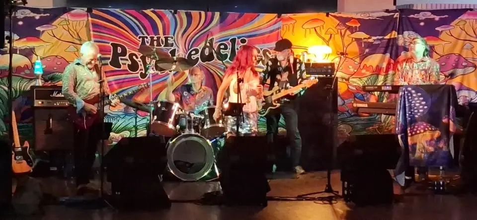 The Psychedelics play Django@Camelot!