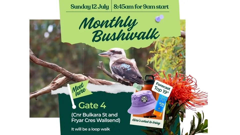 Bush Walk