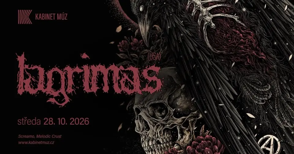 LÁGRIMAS (USA) + DNO | Kabinet MÚZ