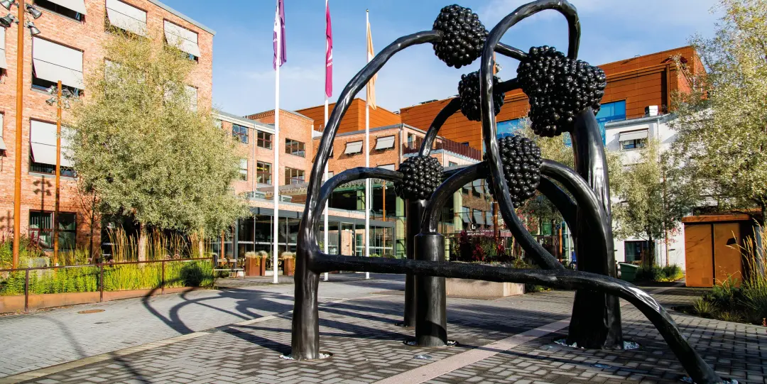 Stadsvandring