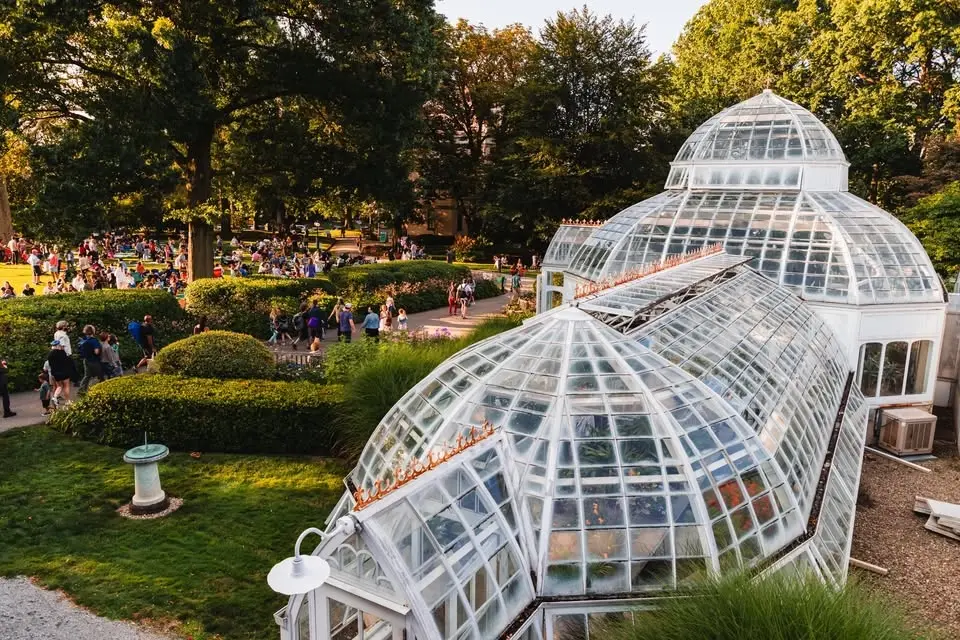 Summer Fridays at the Frick | Donora