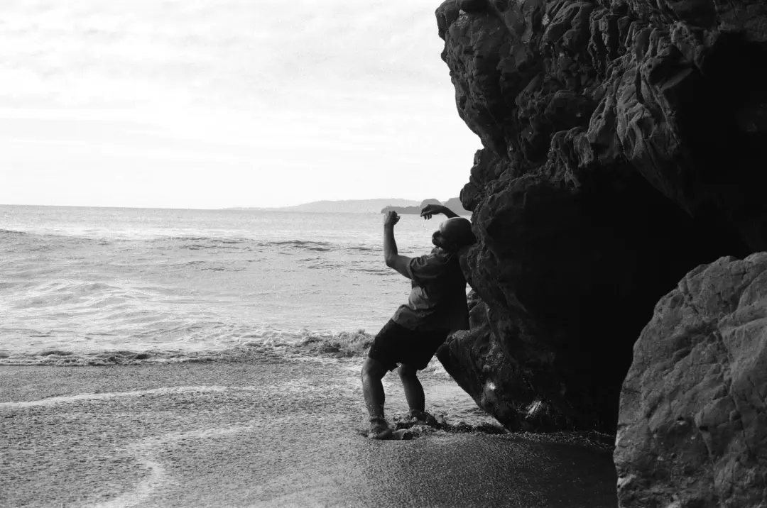 Ecologies in Motion