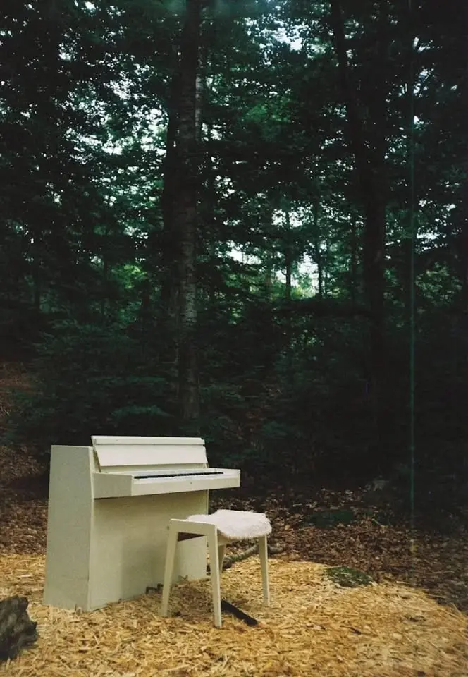 Folk från skogen konsert( BLOMSTERMÅLA 503, 385 92 Gullabo)