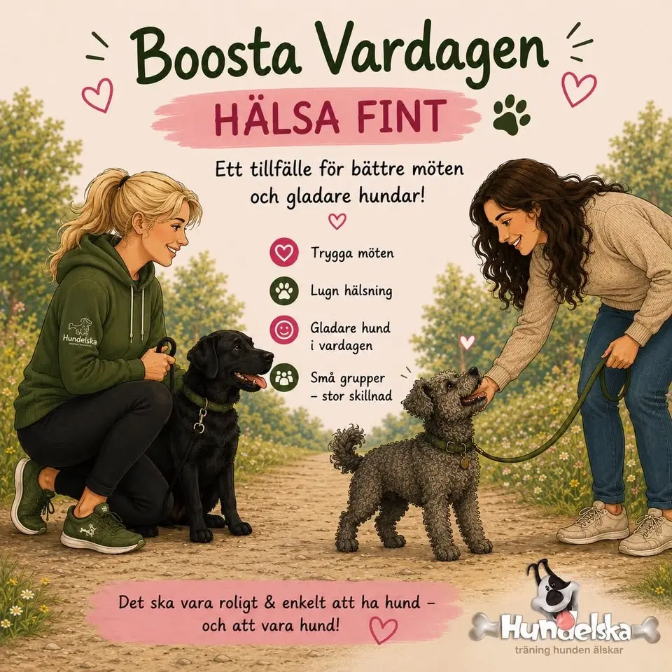 "Hej utan ståhej" - Bosta vardagen - hälsa fint