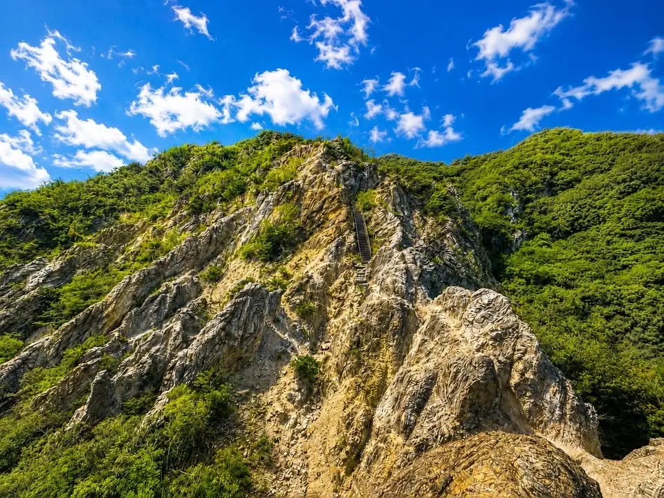 秋風を感じる六甲山!みんなで半縦走体験