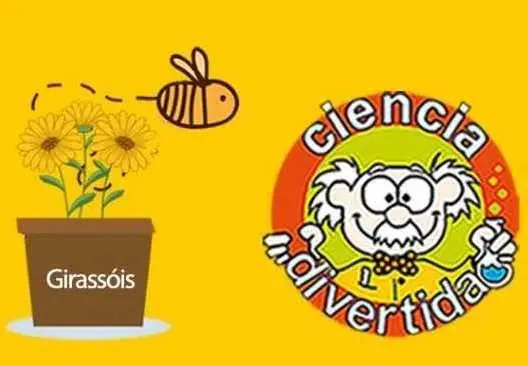 Atelier Ciência Divertida – Vida de abelha
