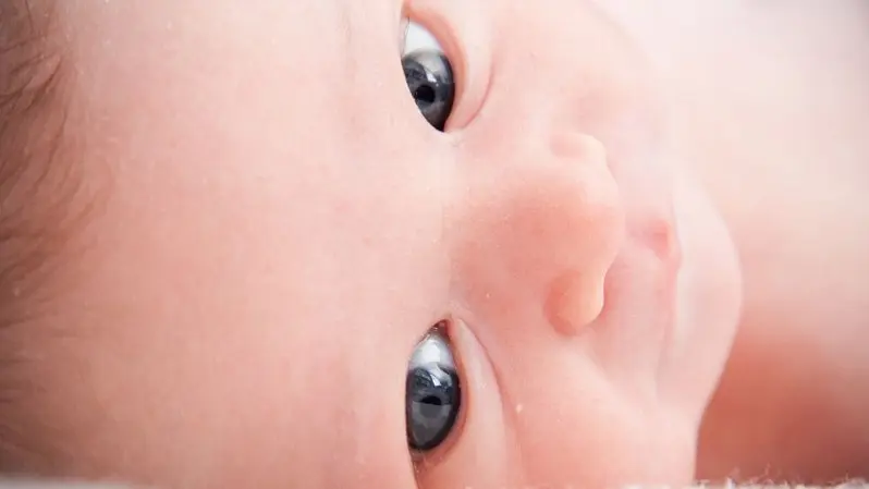 Debate Night: Birth Rate