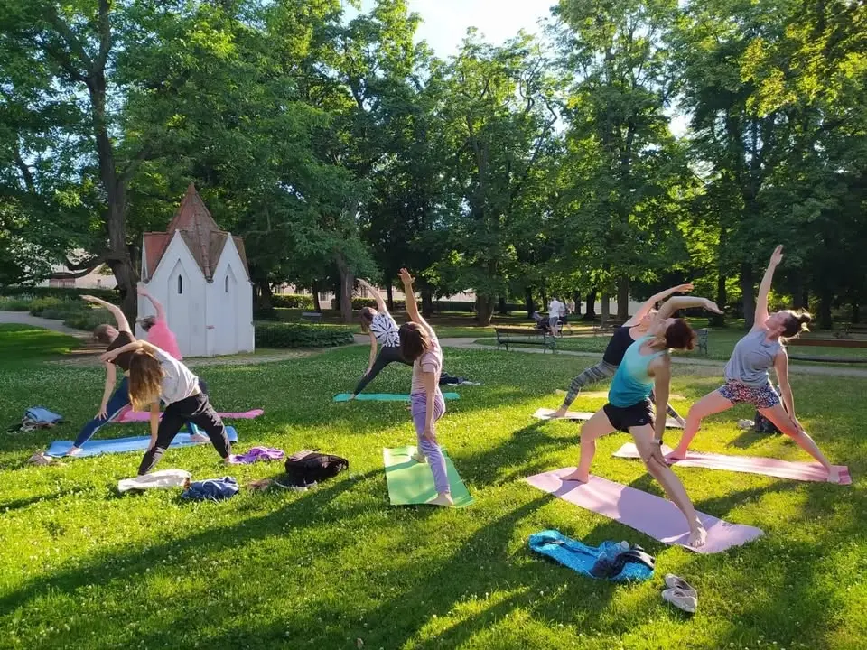 Vinyasa Yoga in the Park