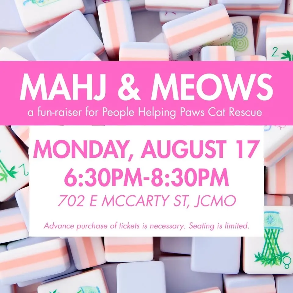 Mahjong 101 // Baristocats Cat Cafe // August 17