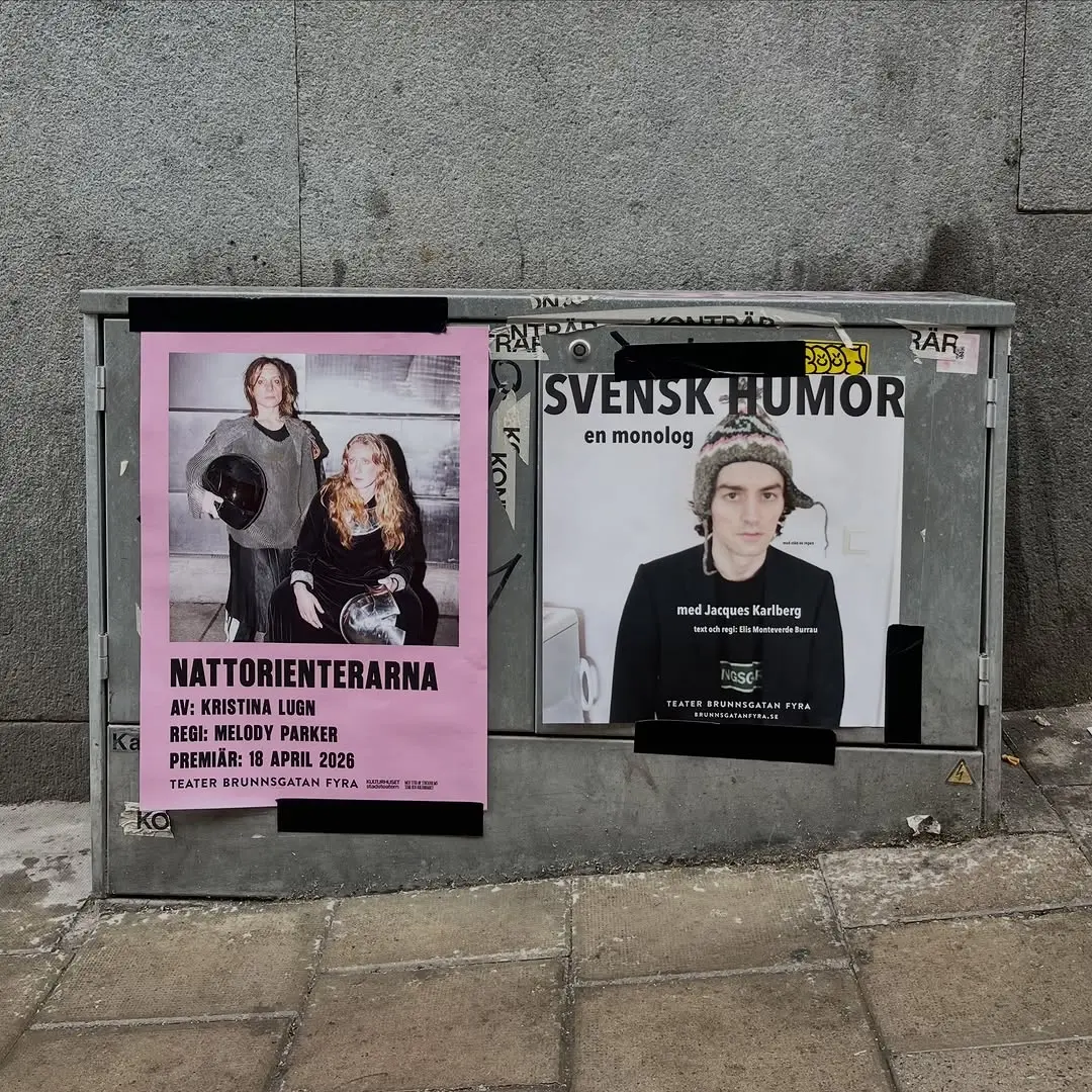 Nattorienterarna