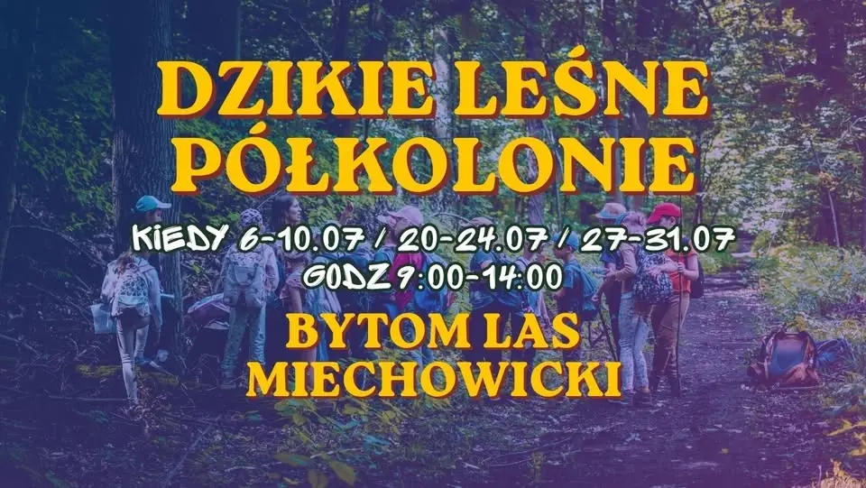 LEŚNE PÓŁKOLONIE W BYTOMIU / Lipiec 2026 / godz 9:00-14:00