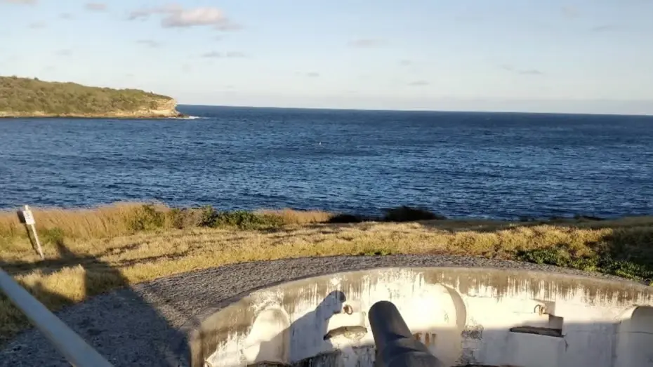 (Express of interests) La Perouse Coastal Hike🌊🏃🏃‍♀️+Whale Watch🐳🐋👀