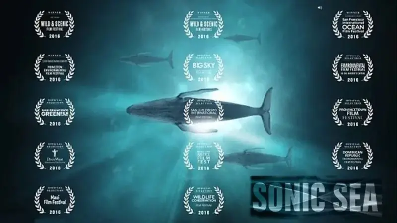 Final film screening: Sonic Sea