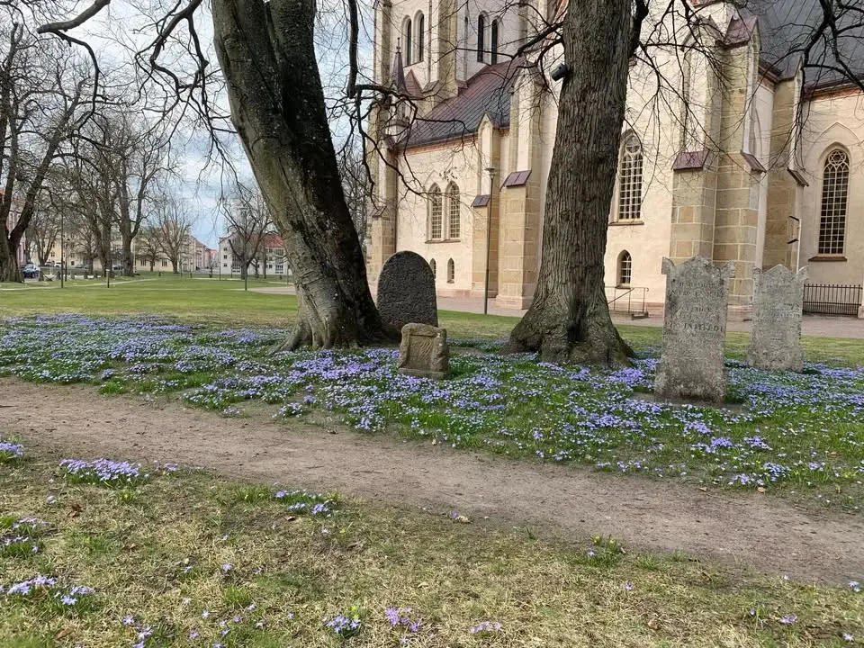 Sommarvandring från S:t Nicolai kyrka till Skogshyddan