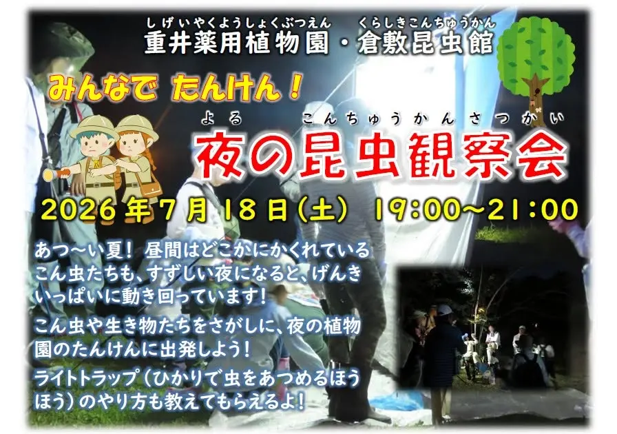 みんなでたんけん!夜の昆虫観察会