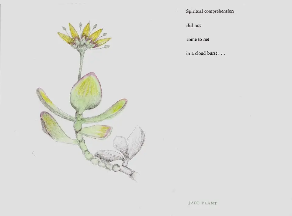 Esther Ervin: Gardening for the Soul