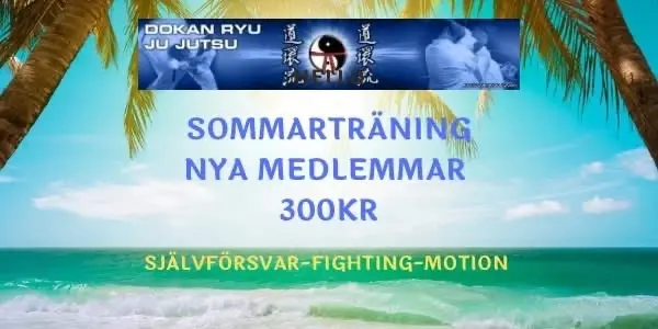 Sommarträningen hos Dokan Dojo