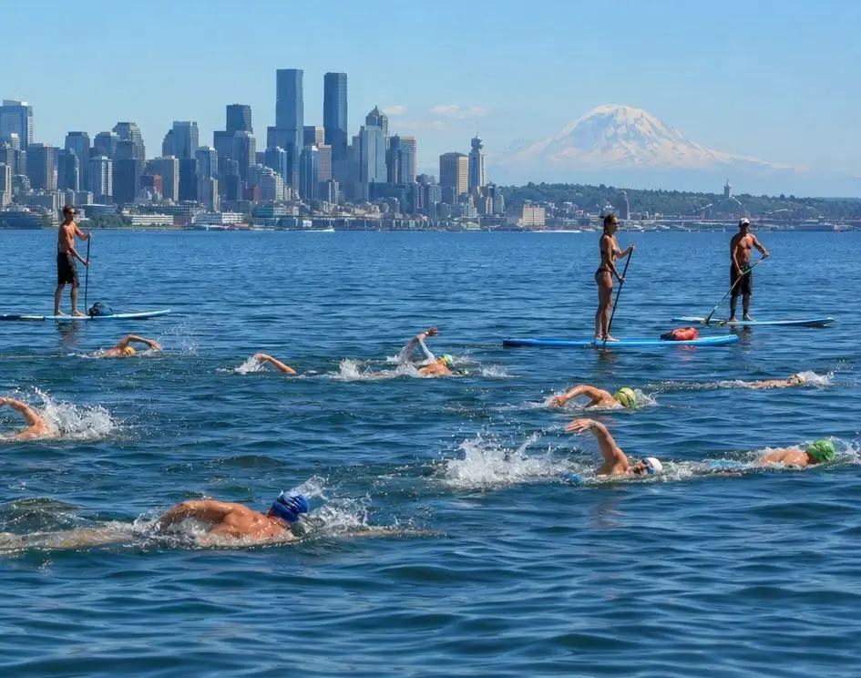 Swim across Lake Washingon