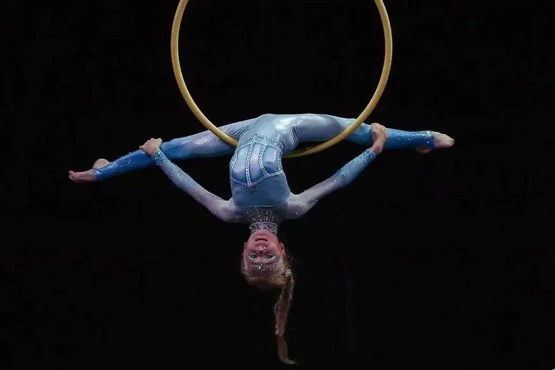 Czech Aerial Hoop Art 2026