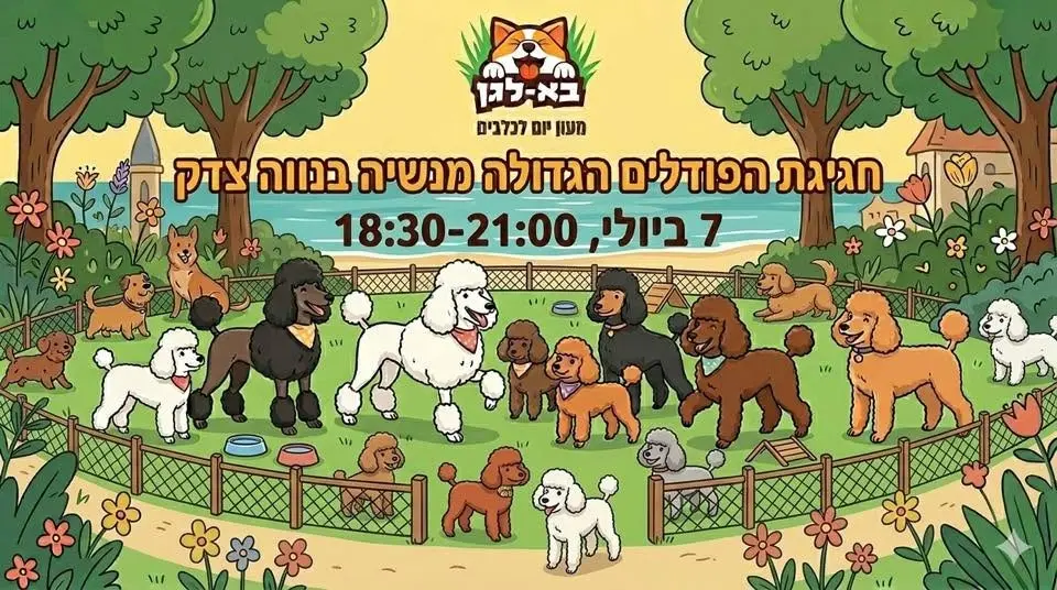 מפגש הפודלים הארצי הגדול של ישראל! 🐩✨