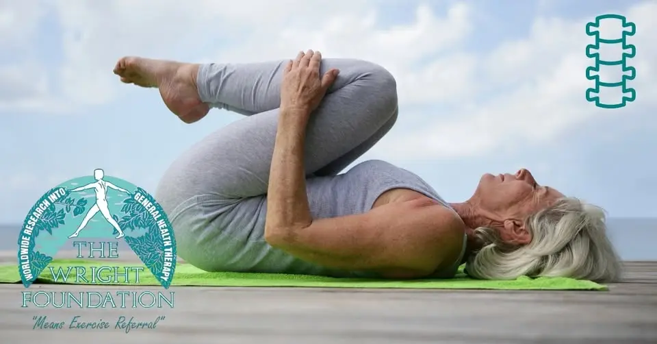Level 4 Chronic Lower Back Pain - Virtual Learning