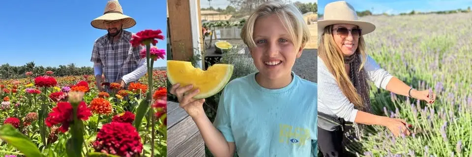 Oceanside's Watermelon & Lavender Festival @ Mellano Farm Stand