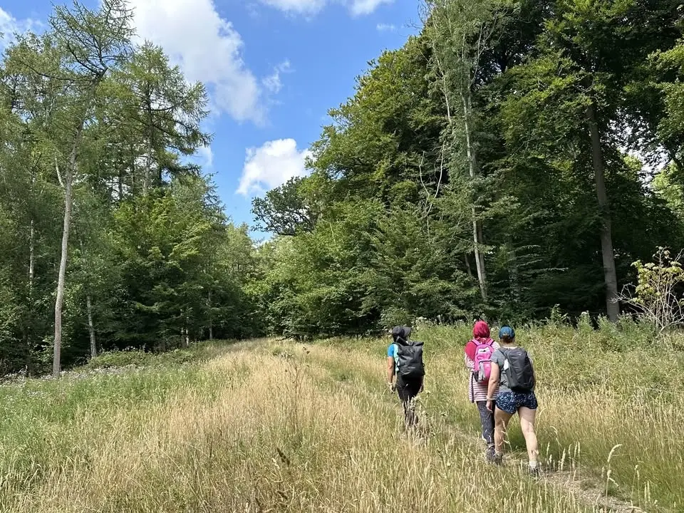 Gutsy Girls Event | Wendover Loop Guided Hikes and Wildlife Walks