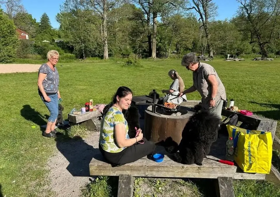 Grillkväll Hästhagen