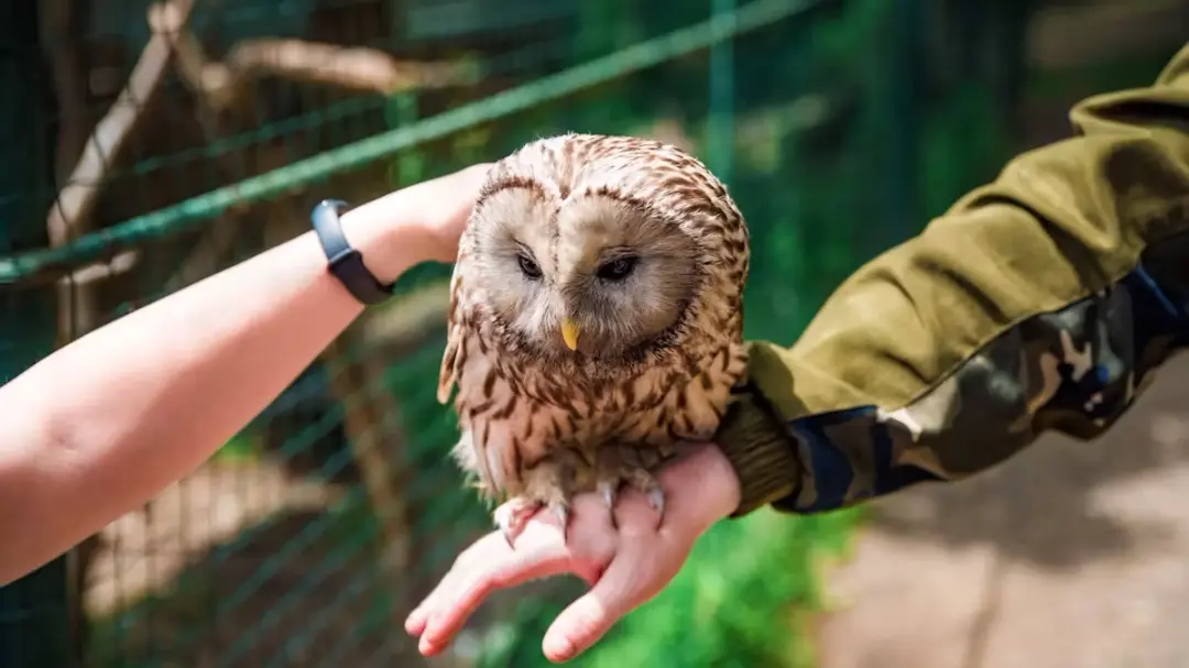 Naturens Fest