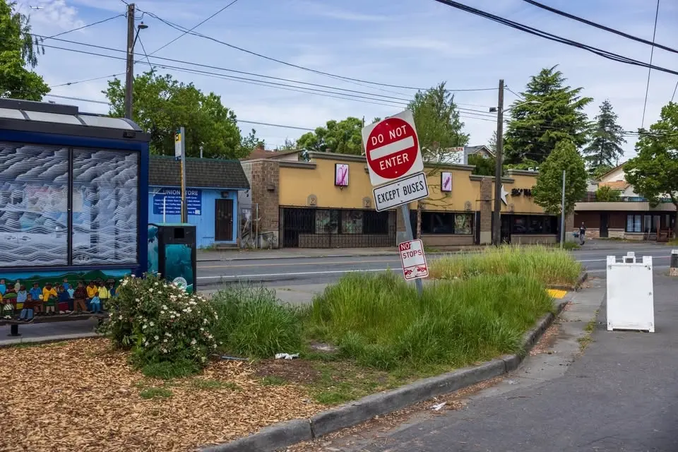 S. Rose & Rainier S. Triangle / Spruce