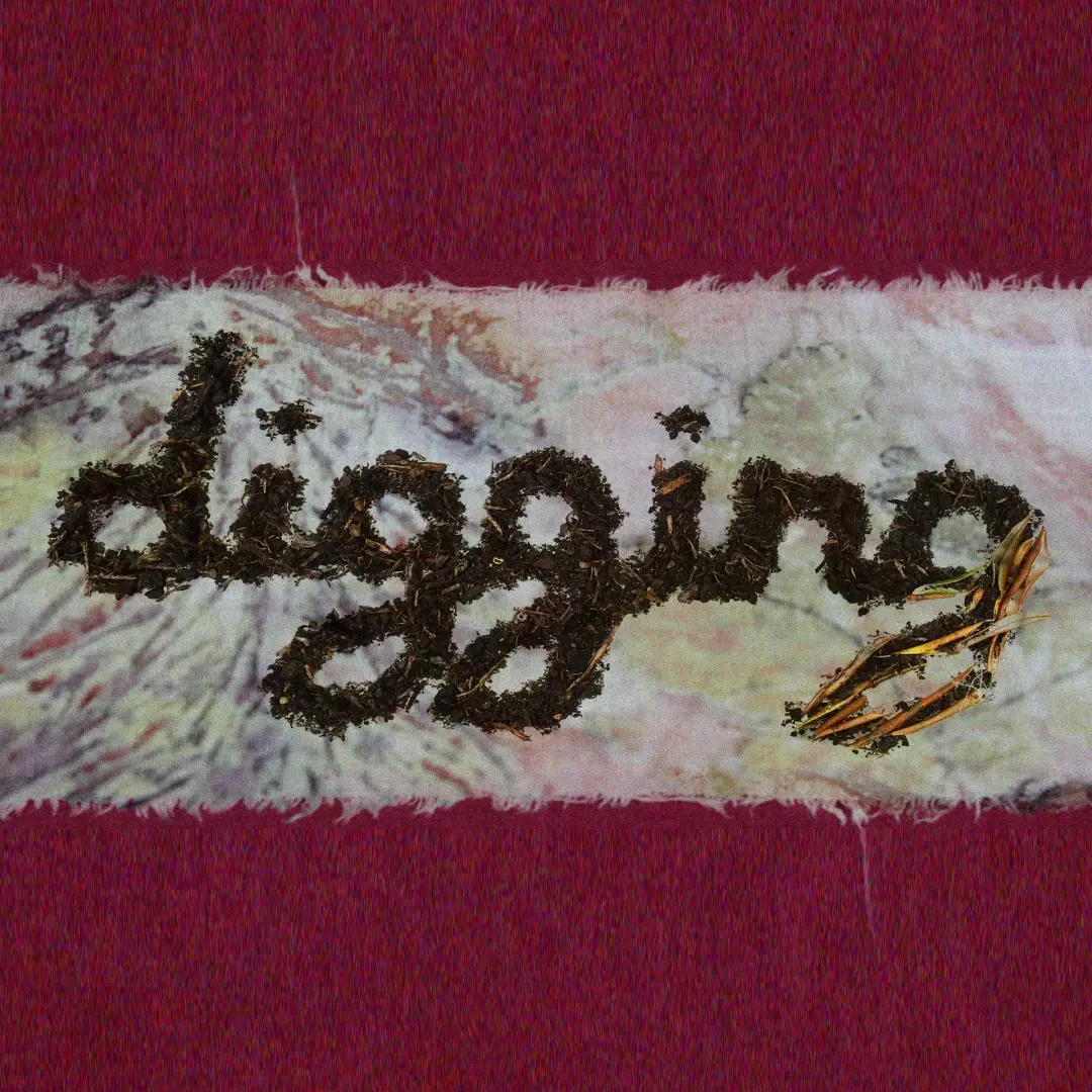 'DIGGING' – Backyard Biennial: East at the Soanes Centre