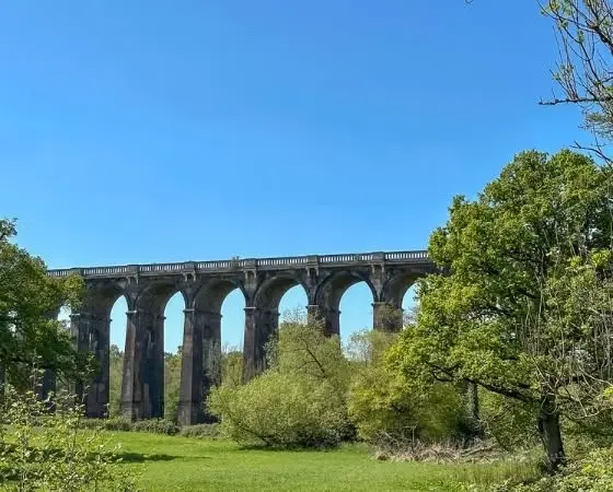 Gutsy Girls Event | Balcombe Loop - Guided Hikes and Wildlife Walks