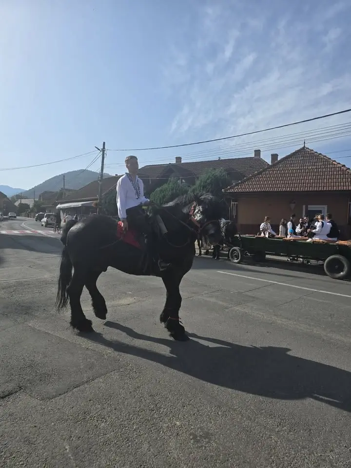 Nedeia Mocănească