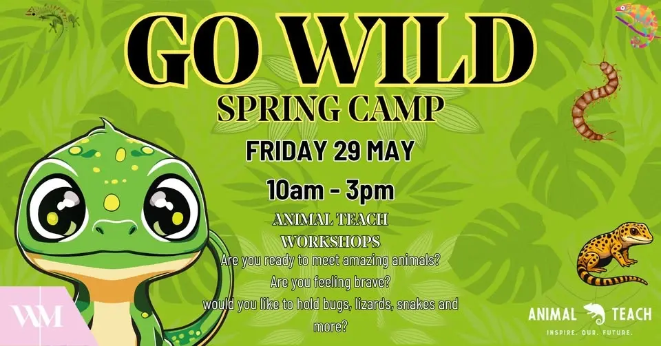 Go Wild Spring Camp