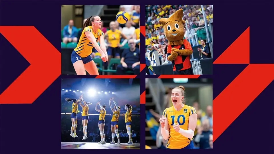Volleybollens dag