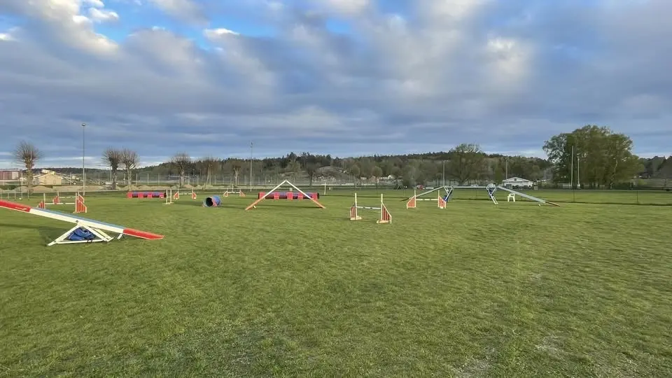 Septemberagility