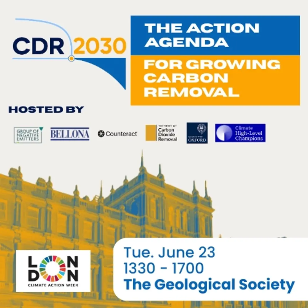 CDR2030: The Action Agenda for Growing Carbon Removal