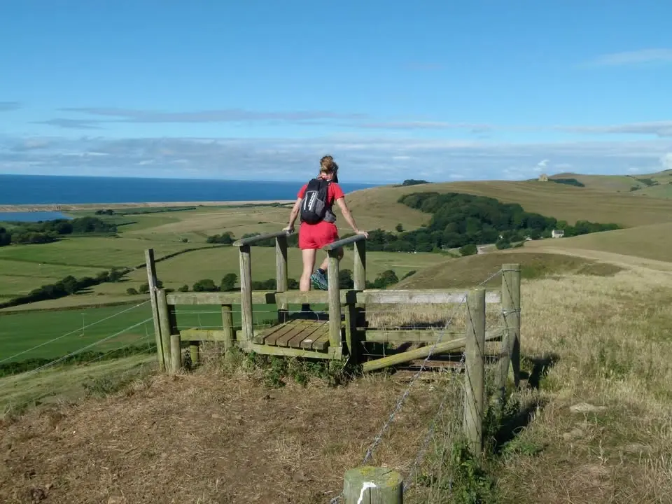 The Fleet & Feet Trail - 10k, half or full marathon, run or walk. 