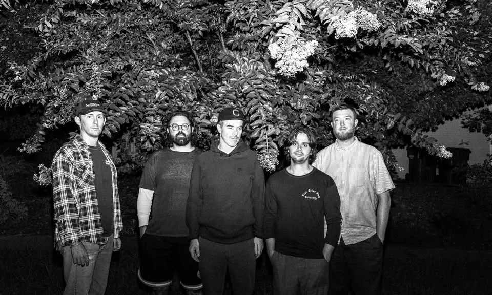 Fiddlehead